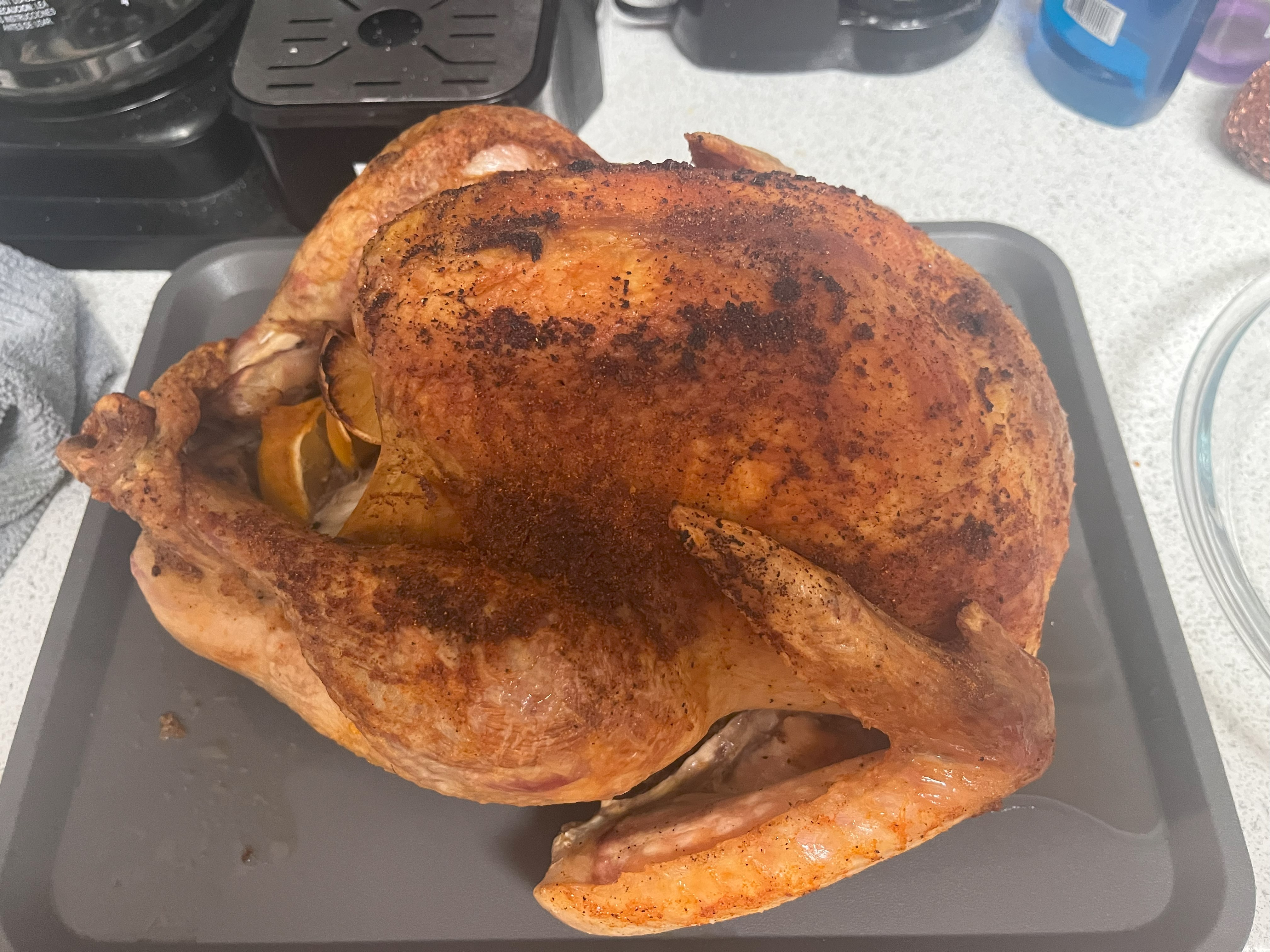 13lb Turkey